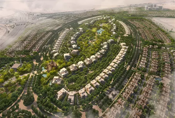 Cassia 3
